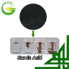 Humic Acid Powder From China Market